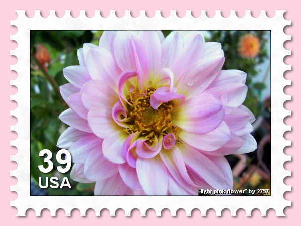 a close up of a stamp with an image of a flower