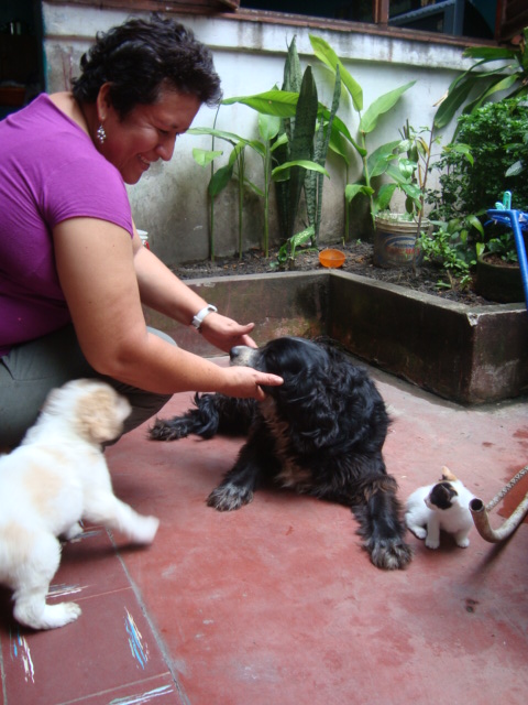 a woman pets two small puppies outside on the porch