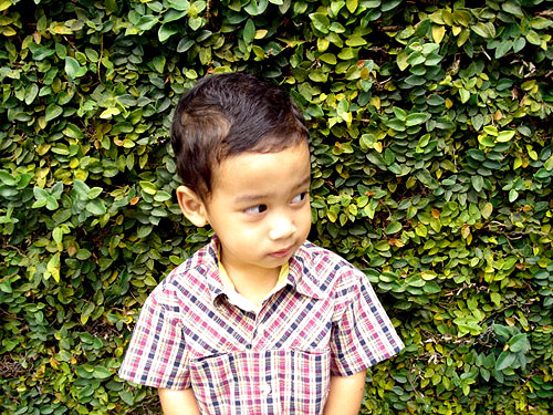 a small child is standing near a bush eating
