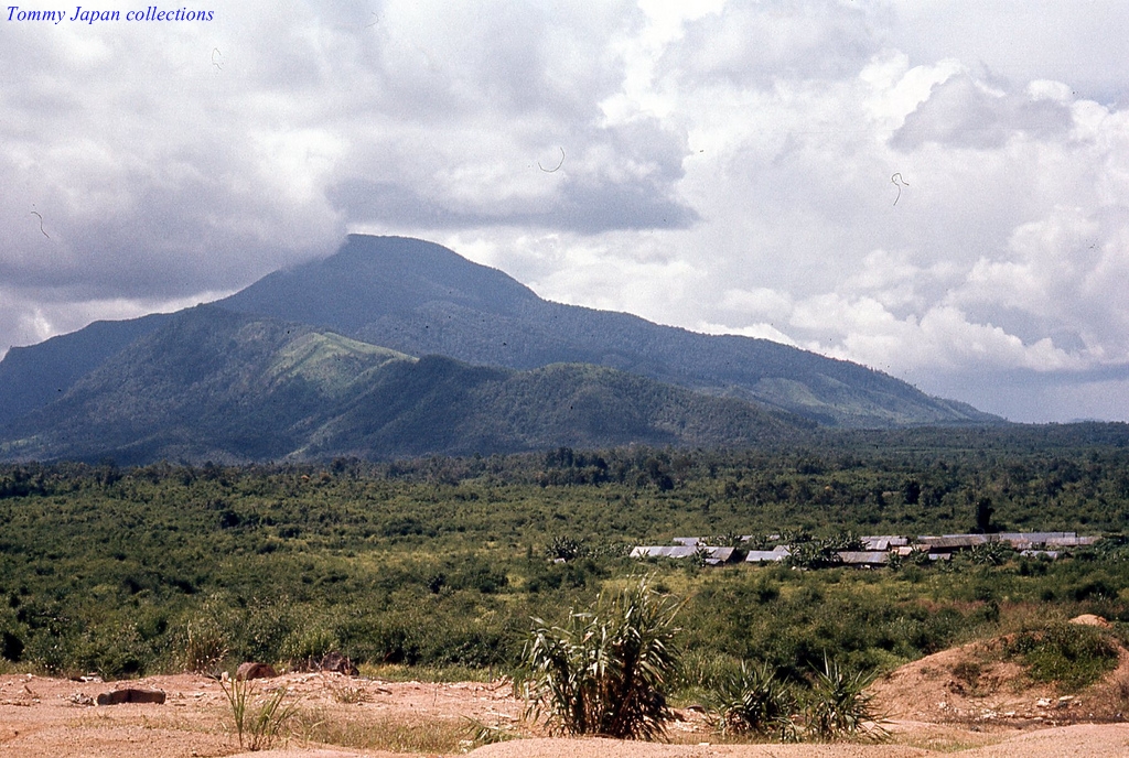 the mountain is in the distance and surrounded by greenery
