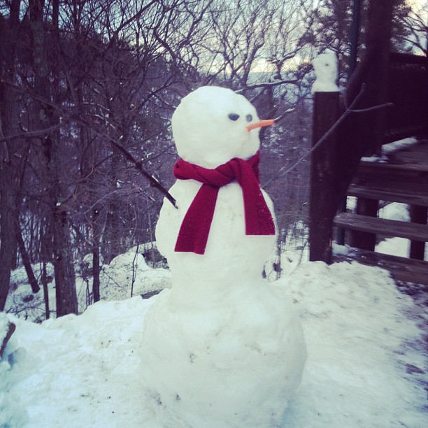 a snowman is shown outside with one of the trees on either side of him