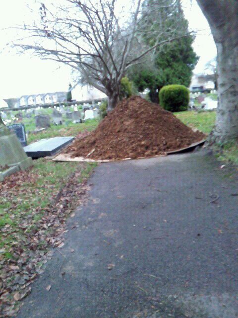 a pile of dirt sitting next to a tree
