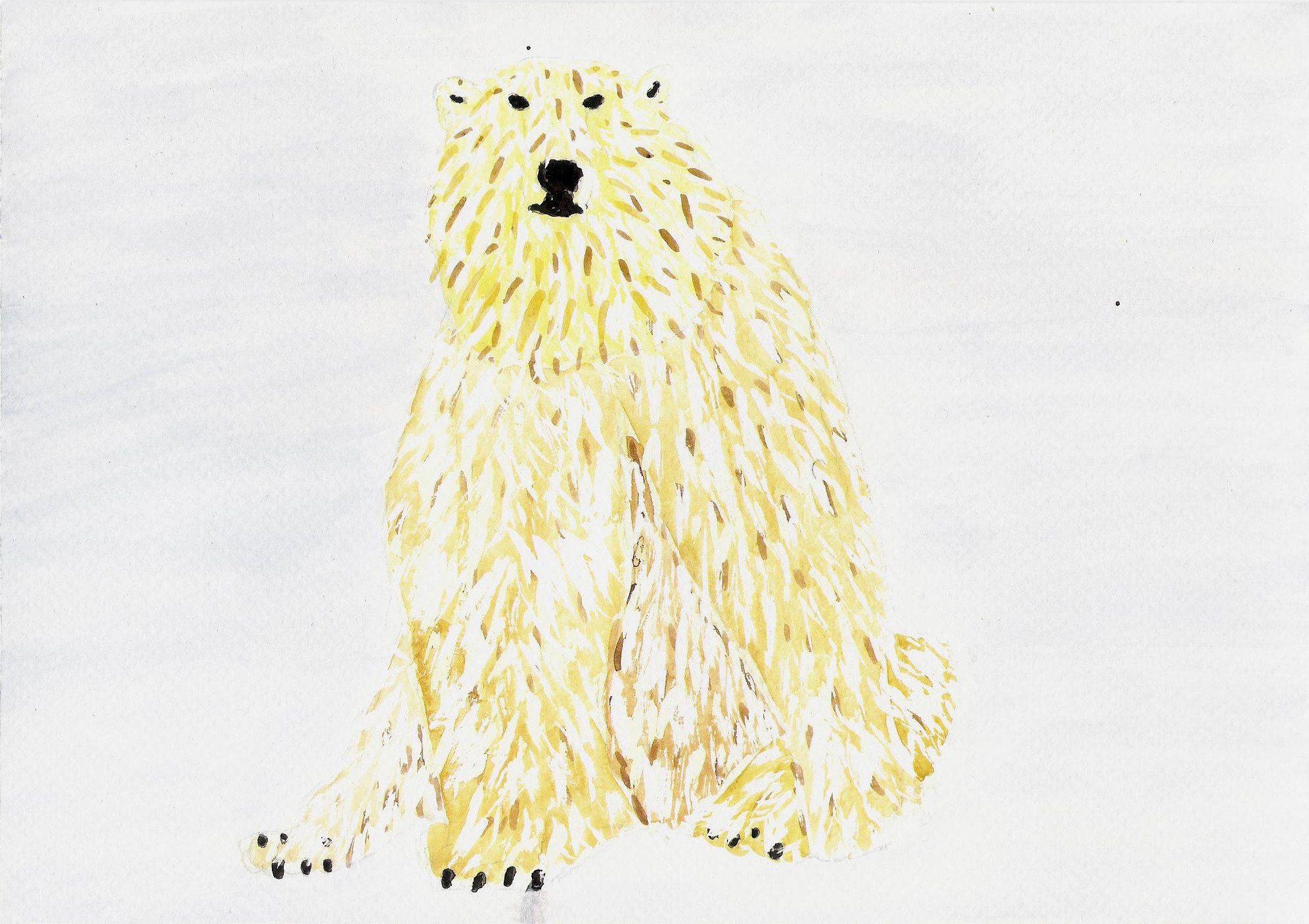 drawing of a bear standing in the snow