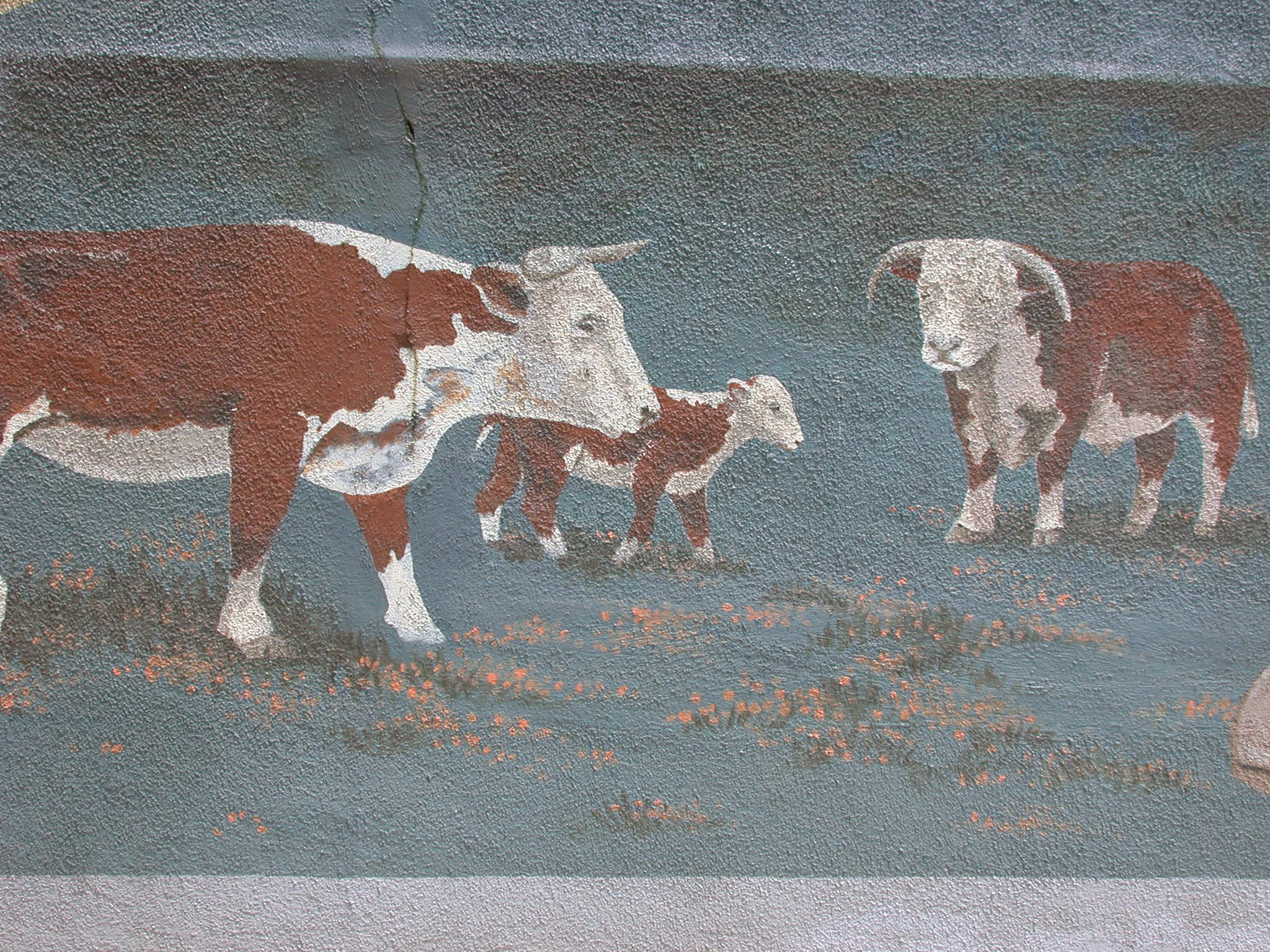 a picture of some cows on a blue and white wall