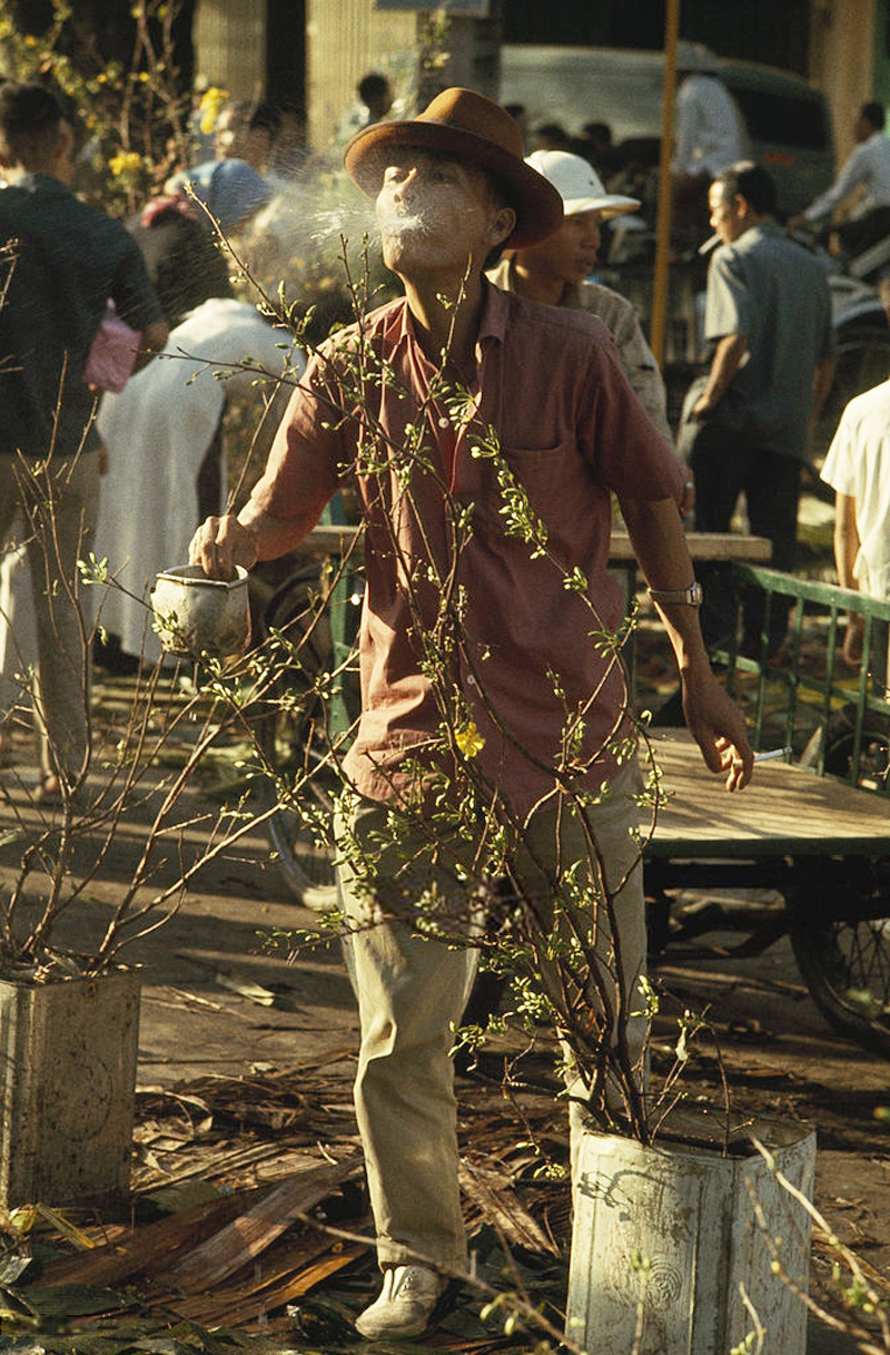 a boy holding an old plant in his hands