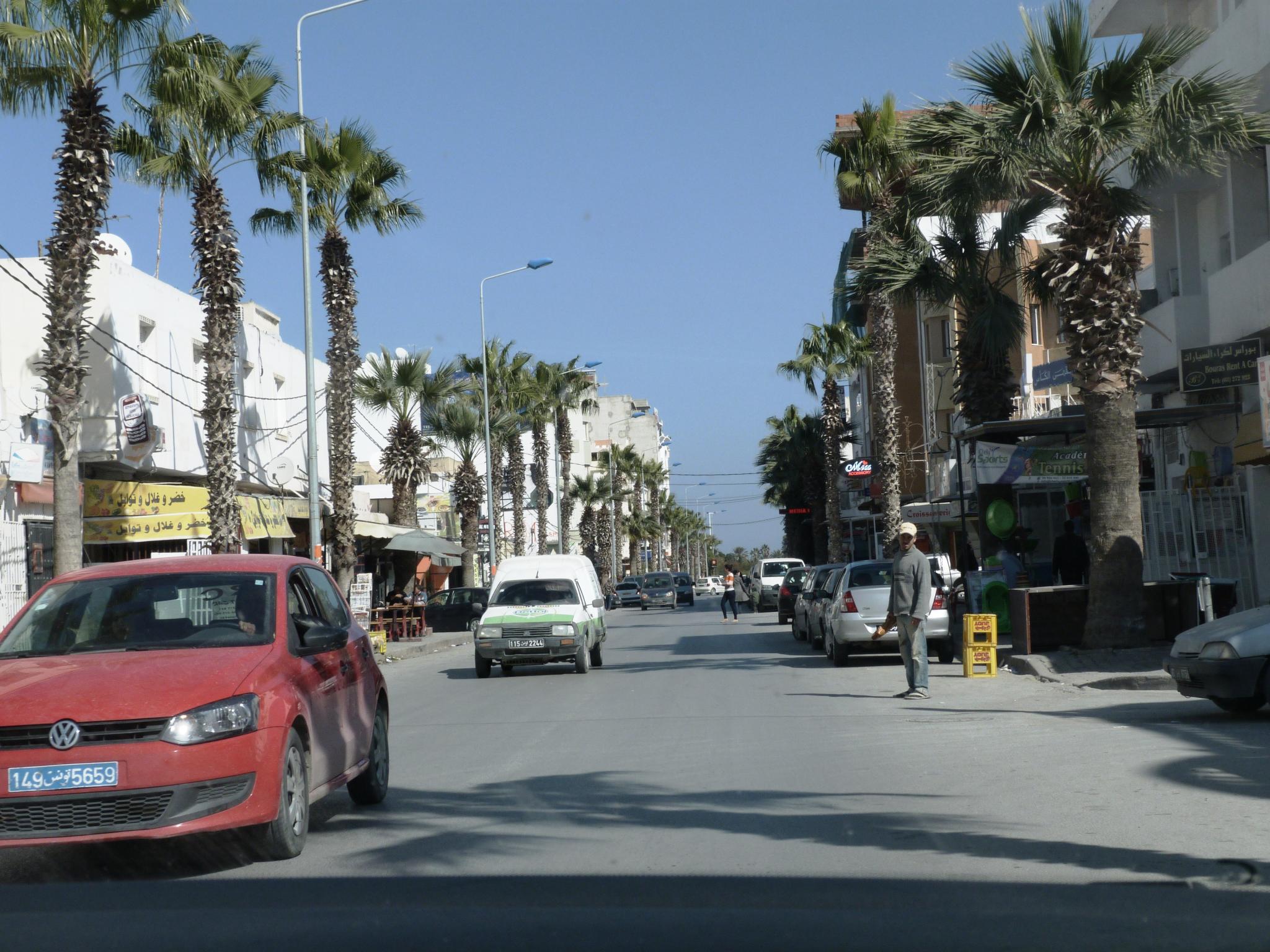 a man riding a bike down a street next to palm trees