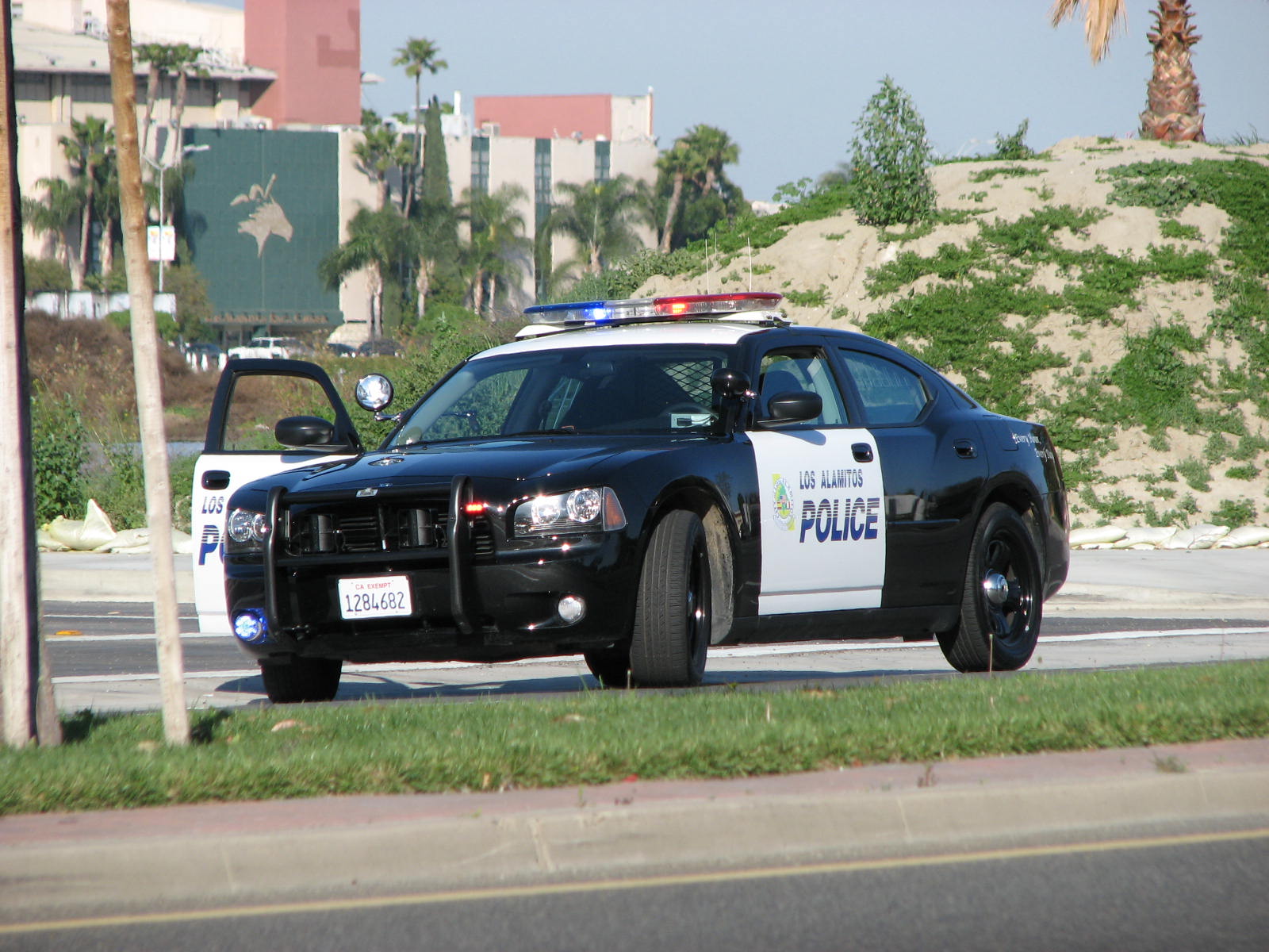 police car parked on the side of the road with palm trees and buildings in background