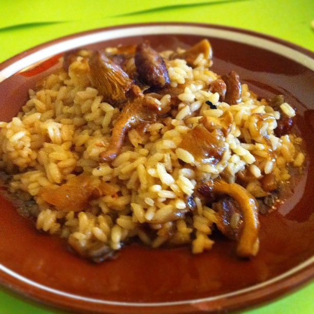 the plate has rice and mushrooms on it