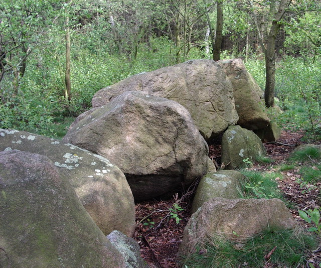 large boulders are sitting among the trees in a green park