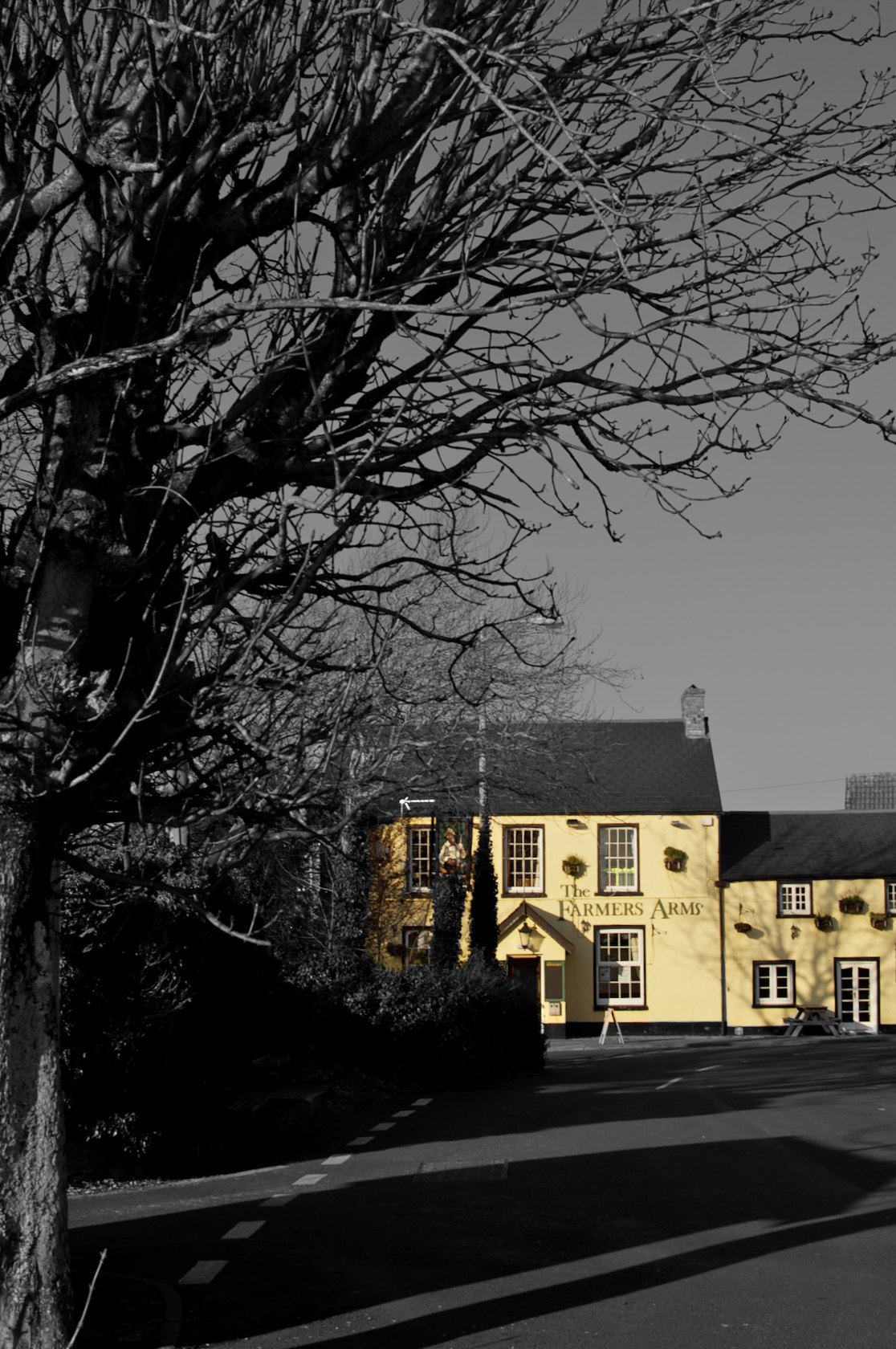 the large yellow house is next to a bare tree