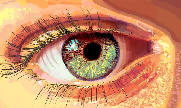 the left side of the eye is the tip of the iris