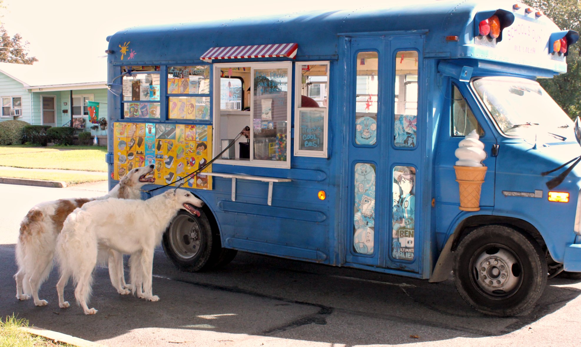 the two dogs are looking at a food truck