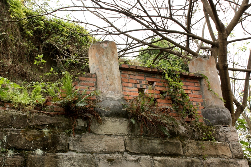 a wall covered in brick with a few plants growing up it