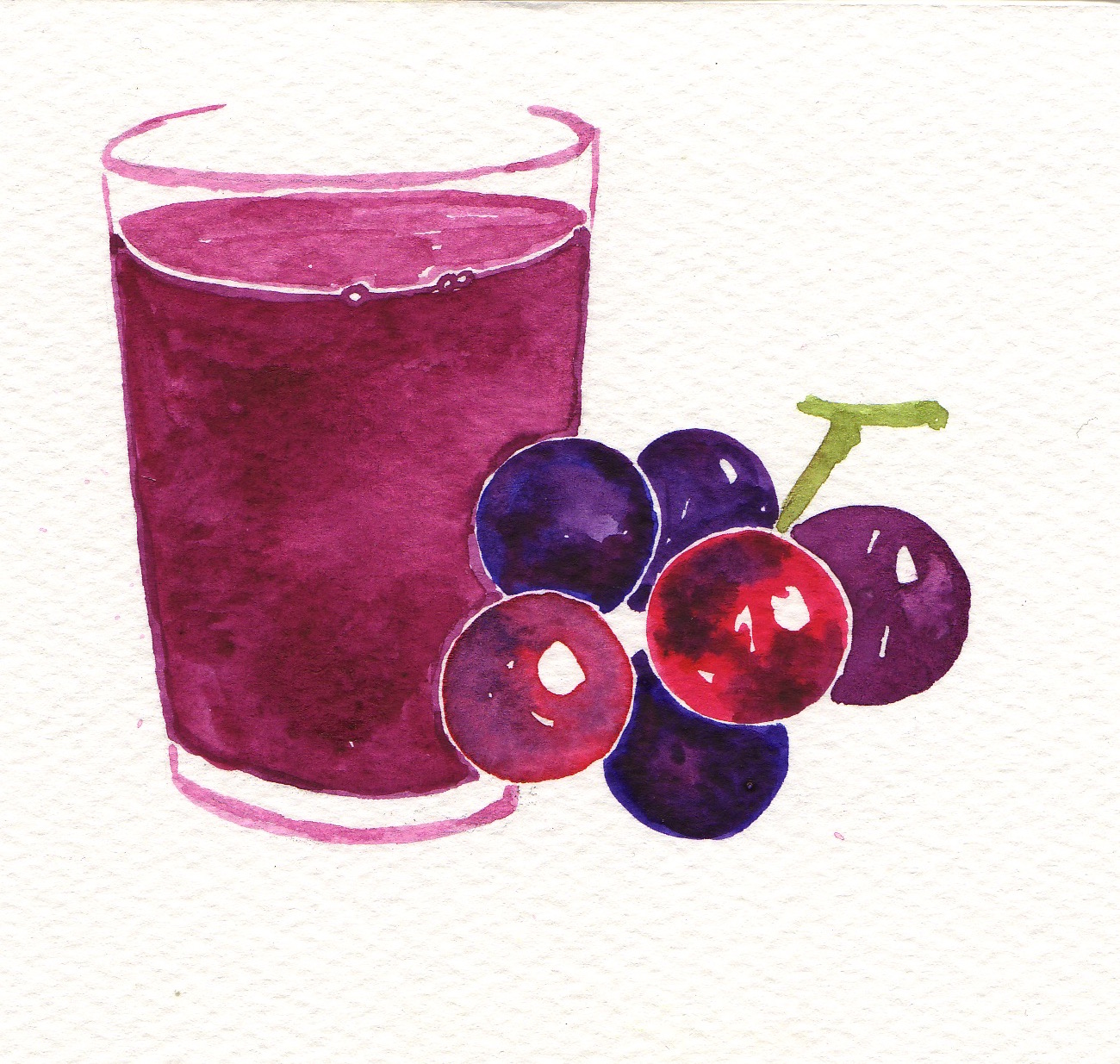 a drawing of a glass of blueberries next to a bunch of berries