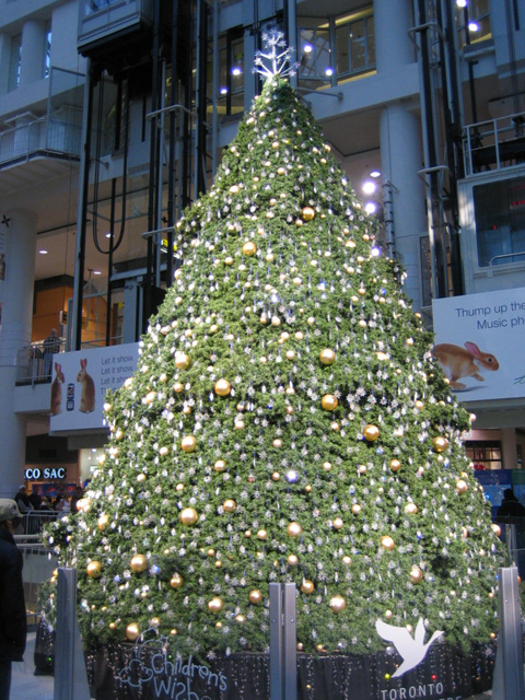 a tree sitting in the middle of a shopping mall