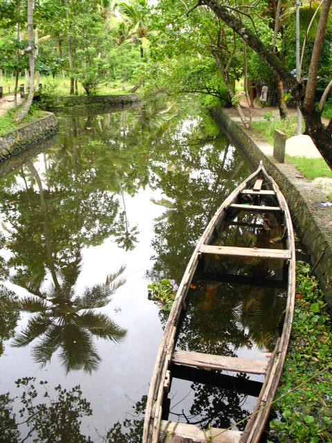 a boat sits on the water next to the trees