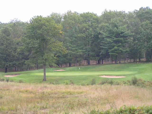 a green in the middle of a golf course surrounded by wooded area