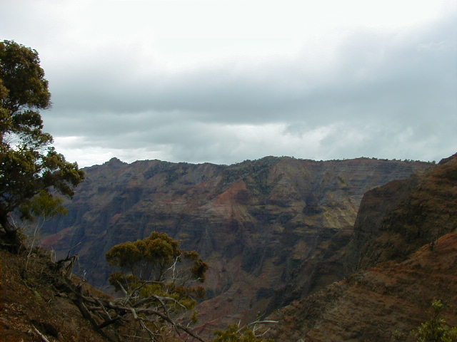 a mountain valley with lots of tree and mountains in the background