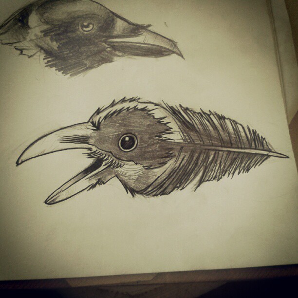 two drawings of birds, one with the tail and one with the head down