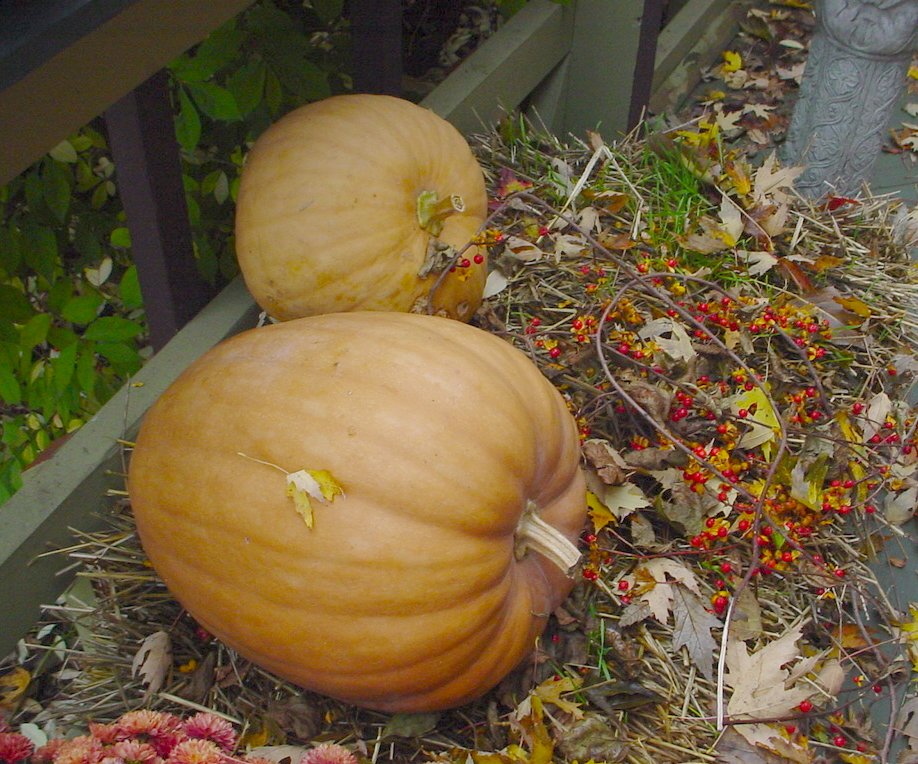 two pumpkins sit on the side of a planter