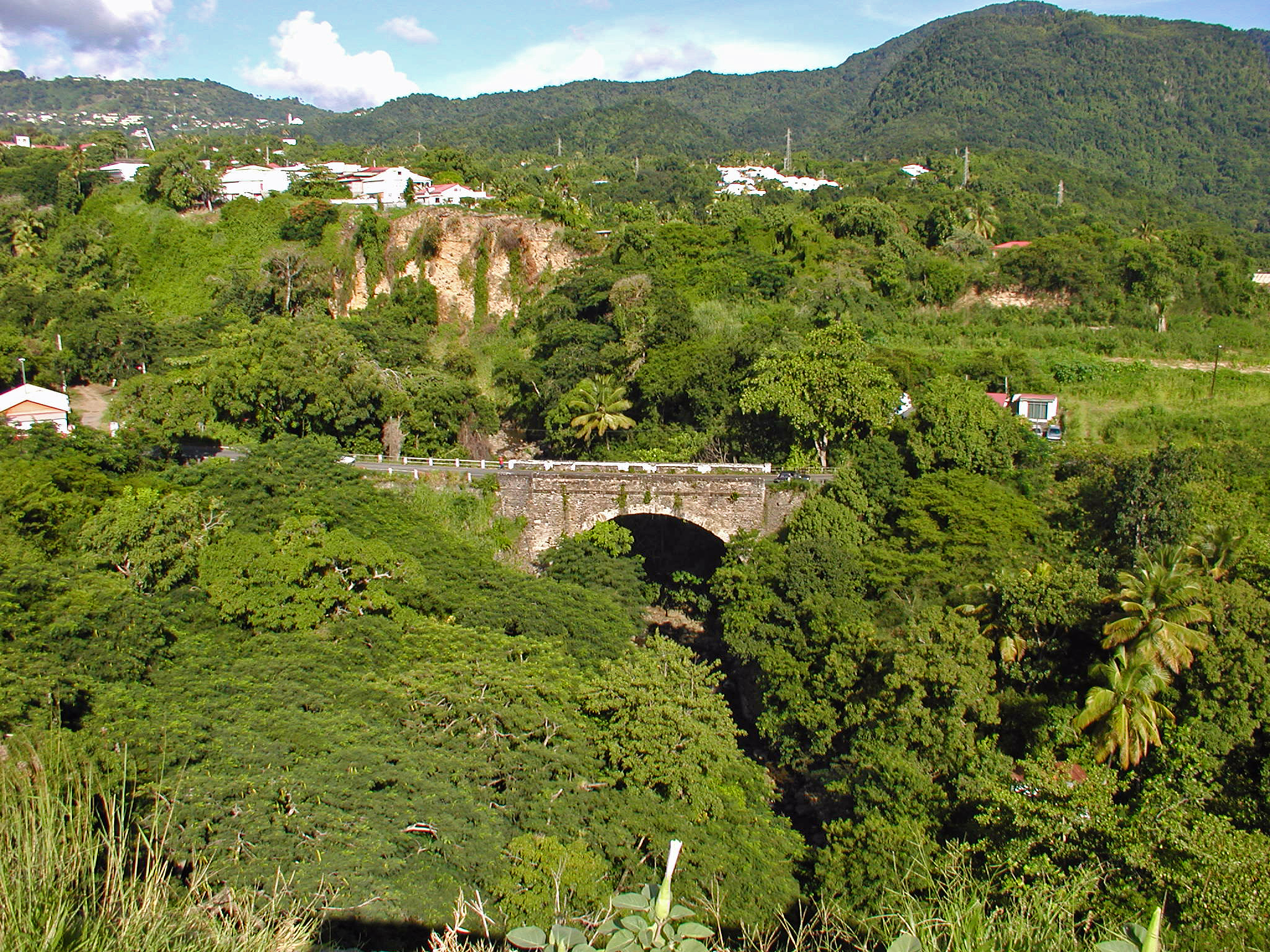 trees and bushes line the hillside and bridge