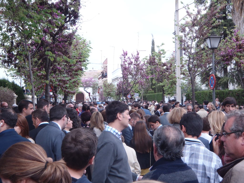 a large group of people in the city