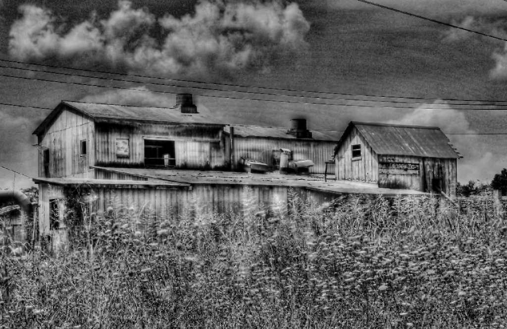 the abandoned house is surrounded by weeds