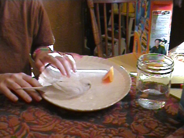 a person sits at a table with a plate in front of her