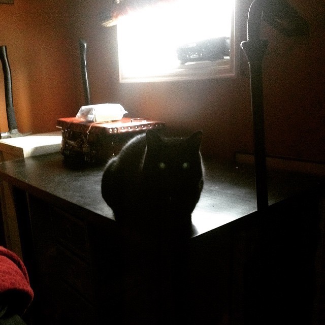 a black cat sits on top of a dresser in a dark room