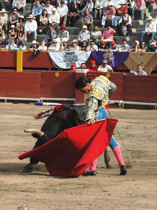 a man in a bull fight holding on to a red umbrella