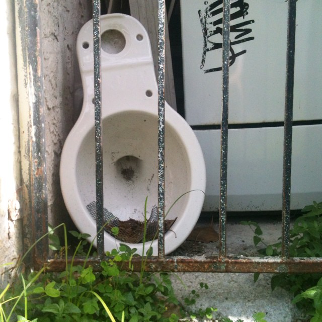 a toilet in the window next to some weeds