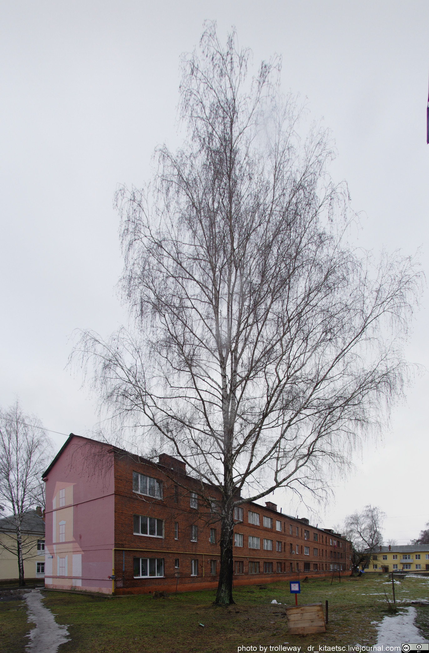 an old brick building and tree in front of it