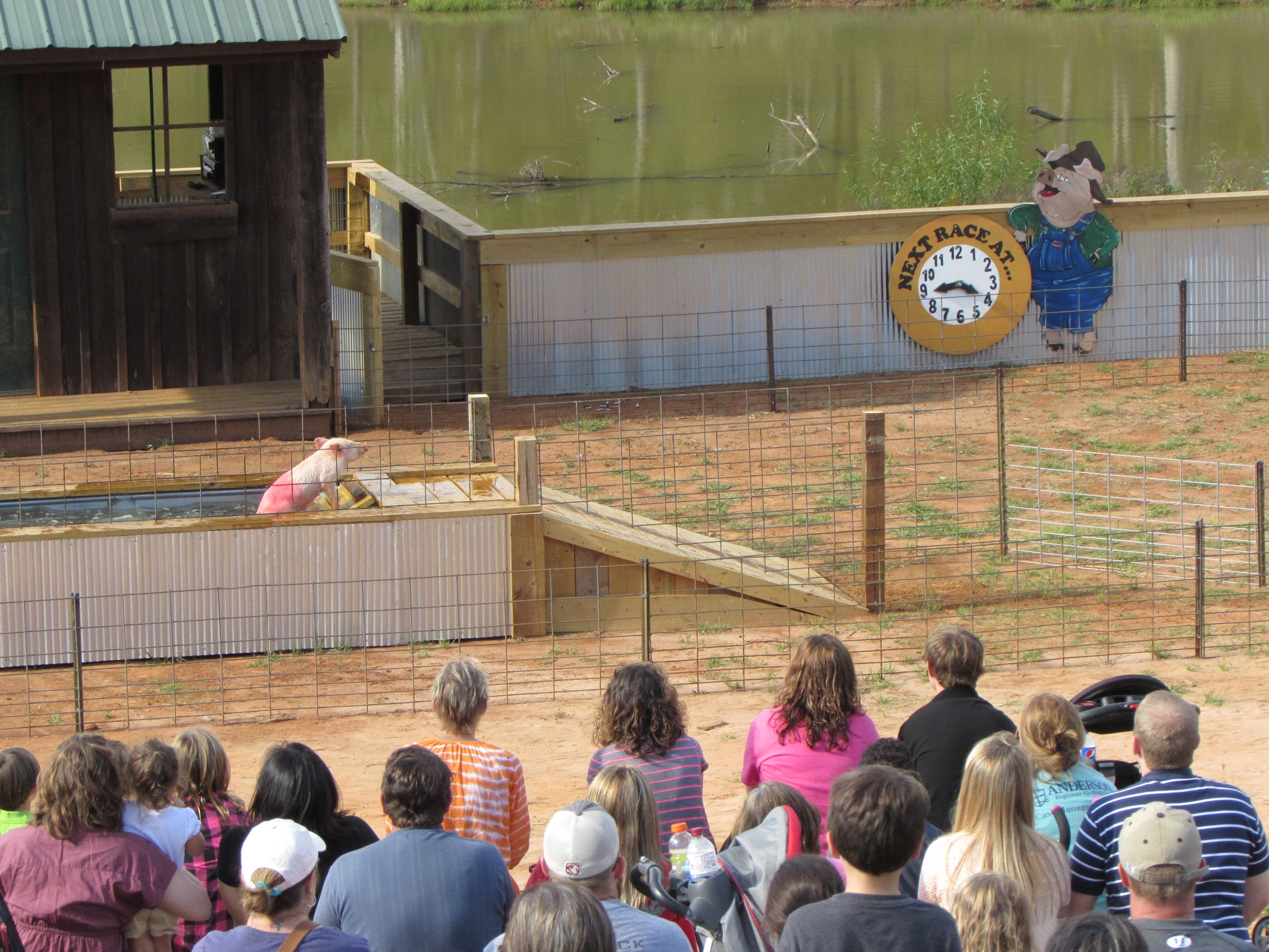 a crowd looking on at the show showing some men