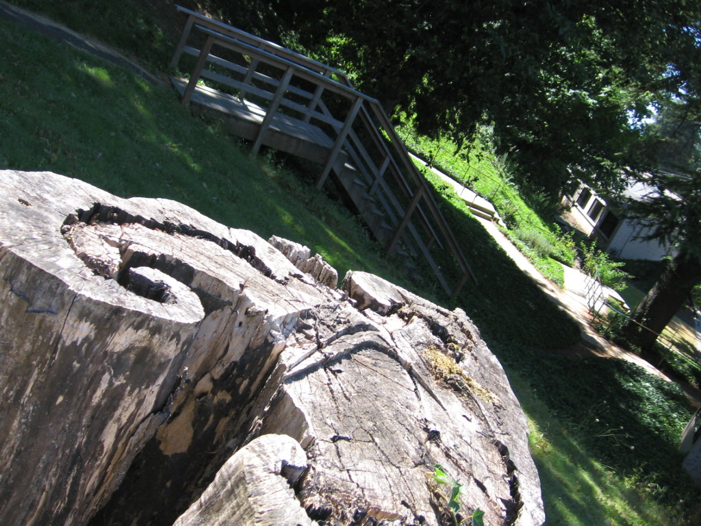 a wooden log and a wooden staircase on the hill