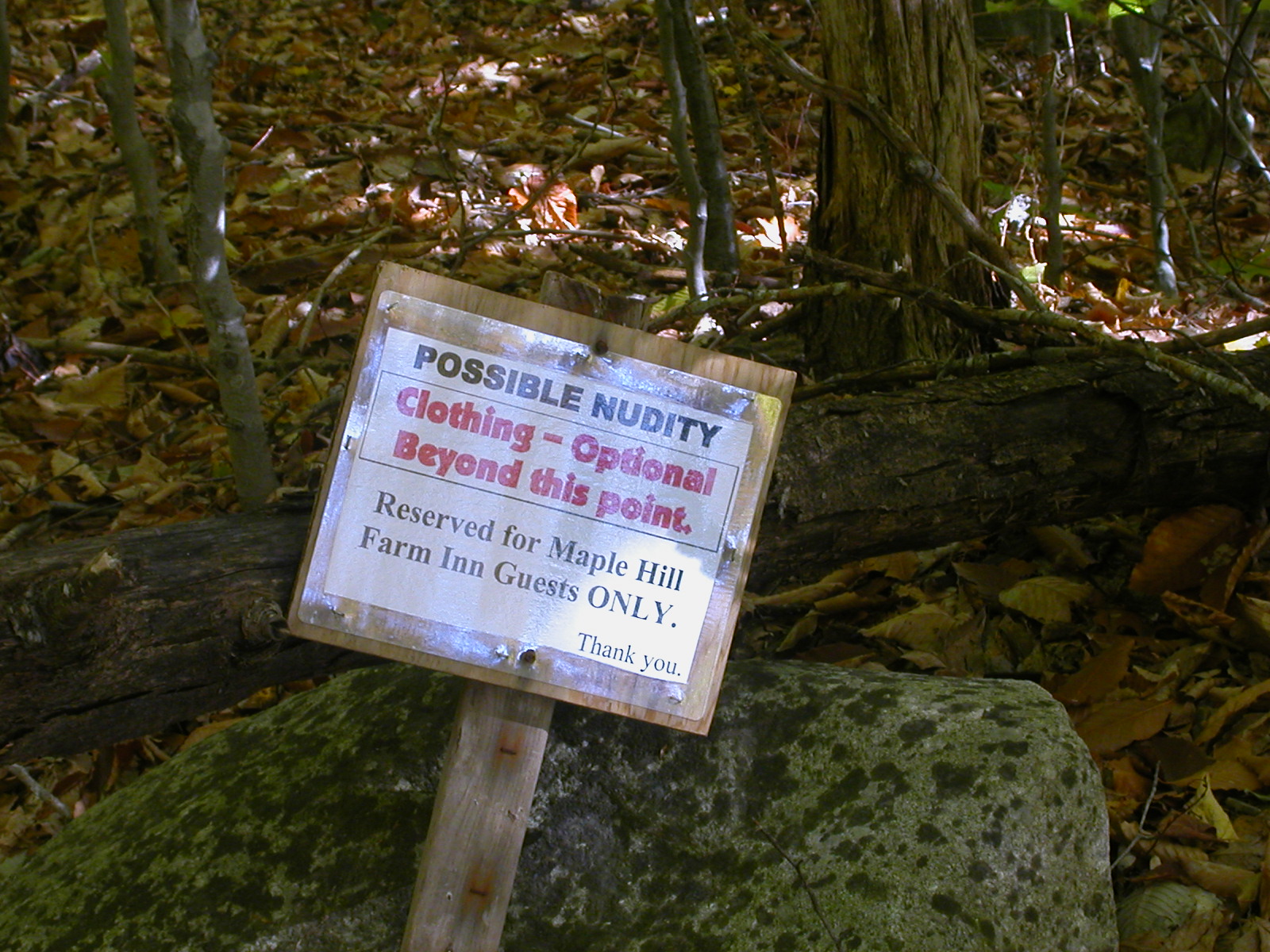 a sign that is in the forest by some moss