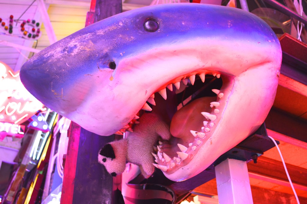 a shark's teeth and mouth are on display in the store
