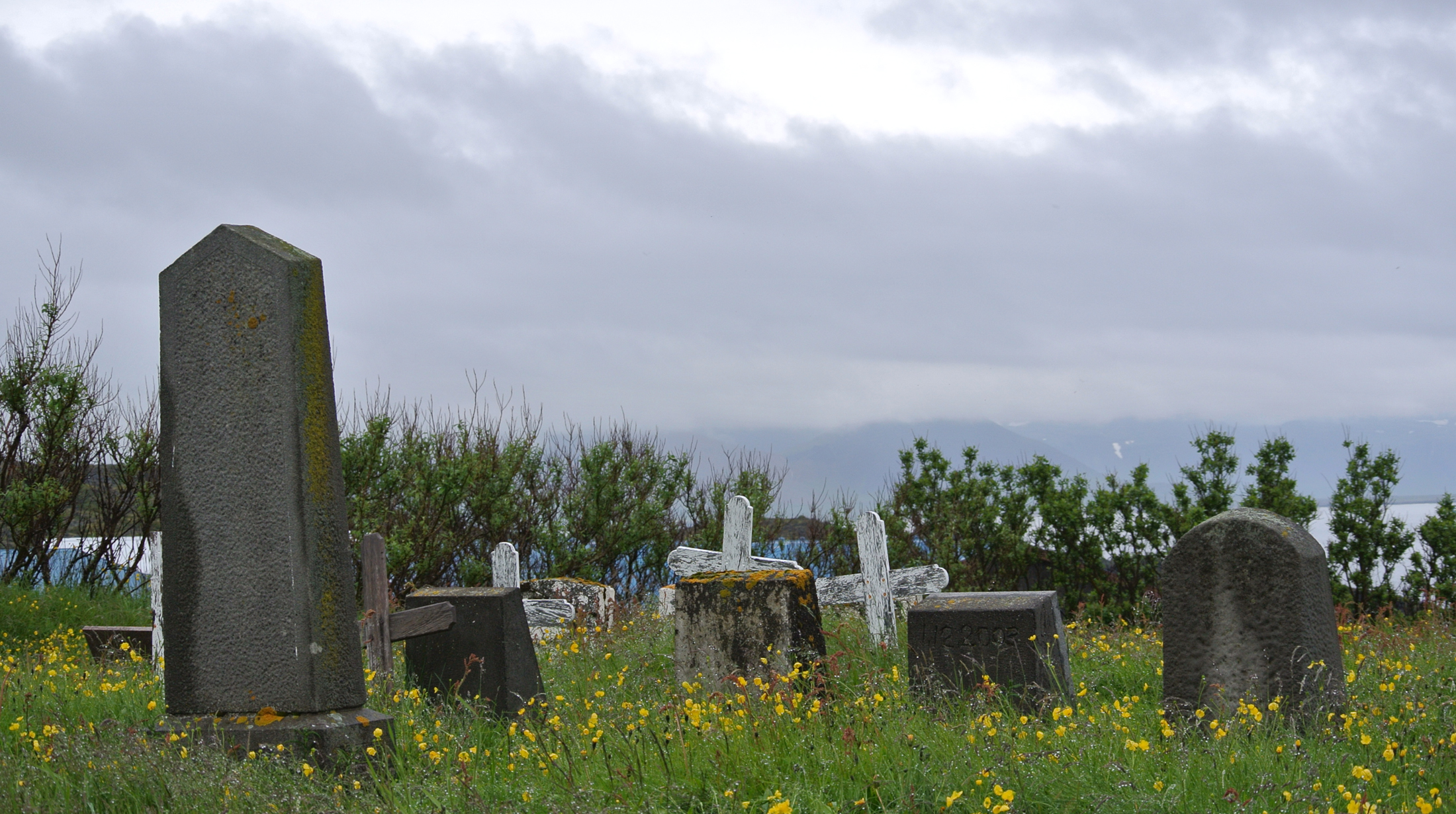 a cemetery with grass and flowers on the ground