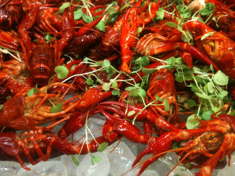 a close up s of cooked craws on ice