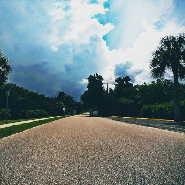 a large road next to some trees and bushes