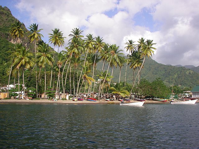 a boat docked by some palm trees in the ocean