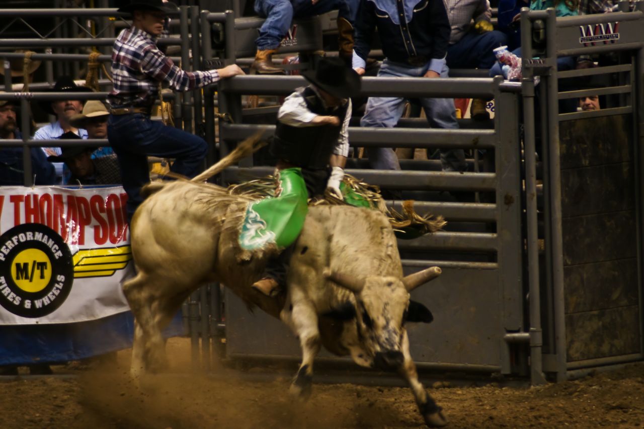 a man on the back of a bull at a rodeo