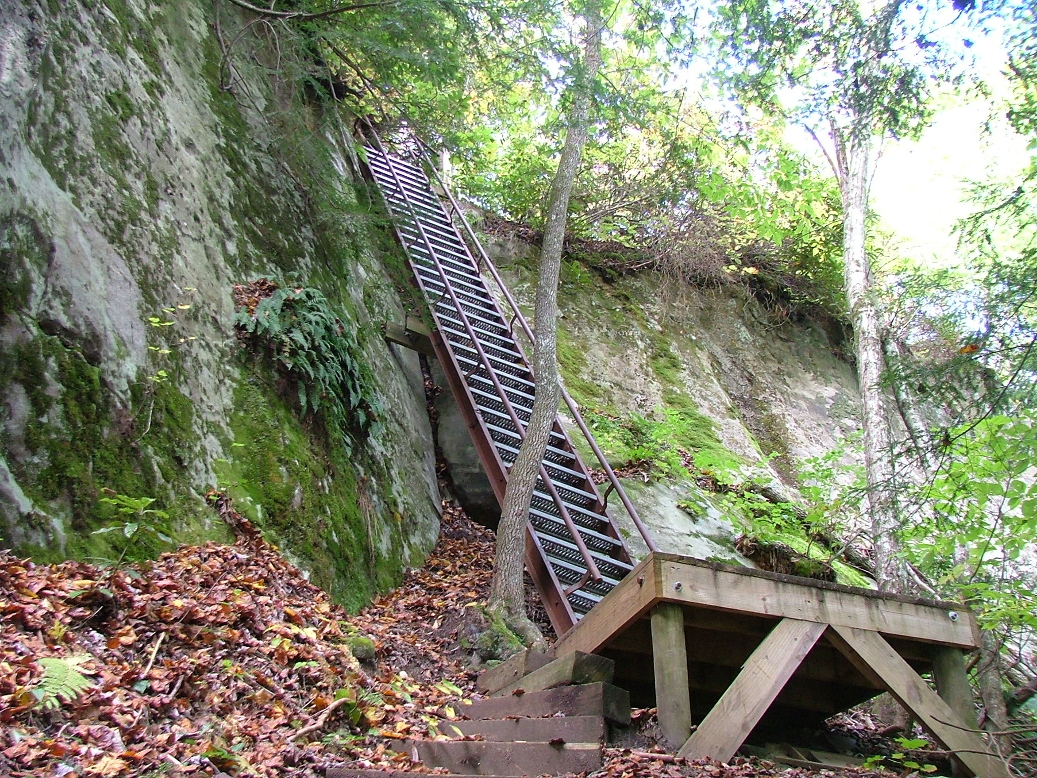 an old staircase on a rock outcropping in the woods