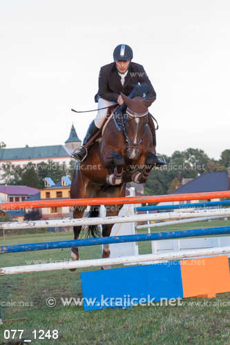 an equestrian jumping over a rail at a horse show