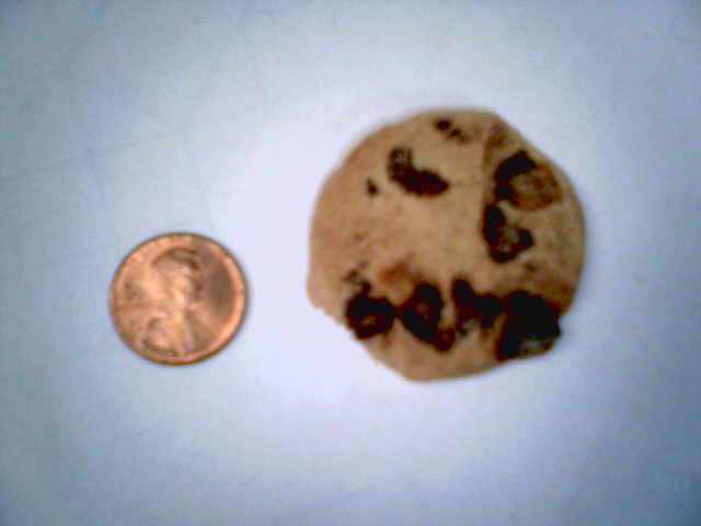 a coin and a cookie sitting next to each other