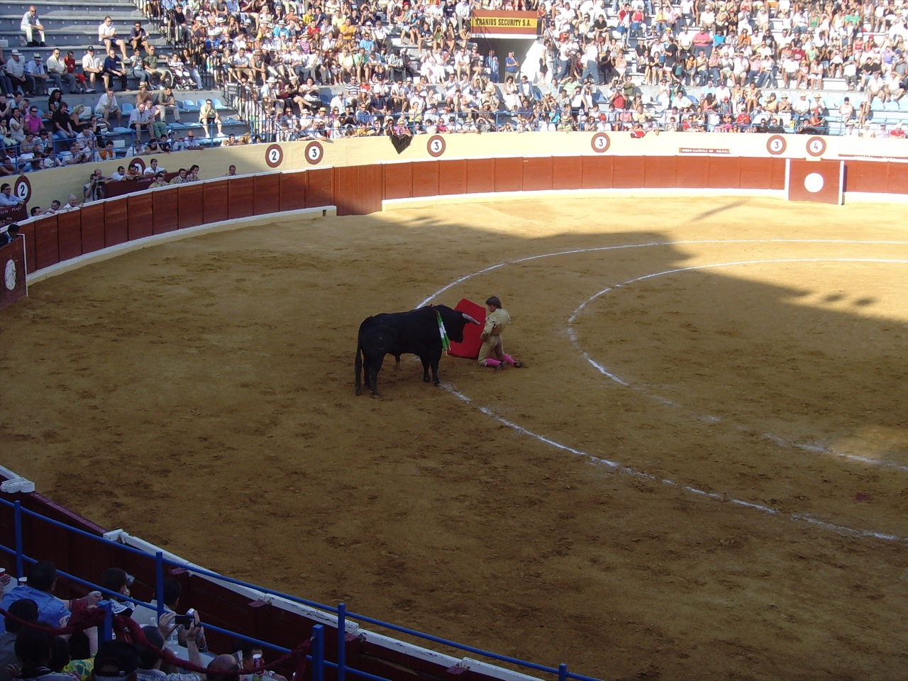 a man standing by a bull in a large arena