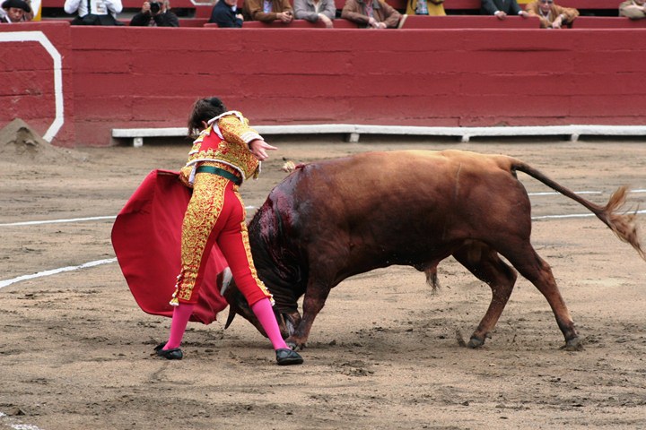 a mata performing a fight between a bull and a bull - rider