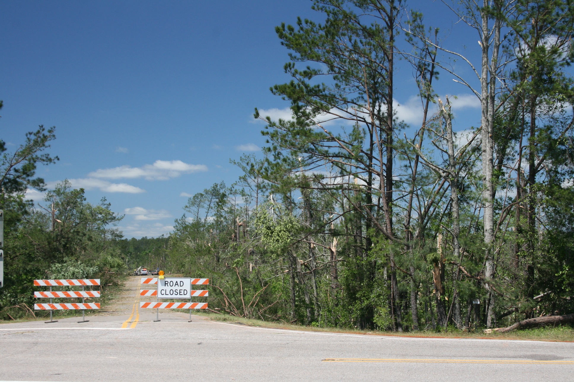 a gate that is blocking the road while trees are in the background