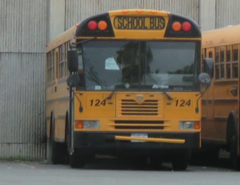 two school buses parked in front of a building