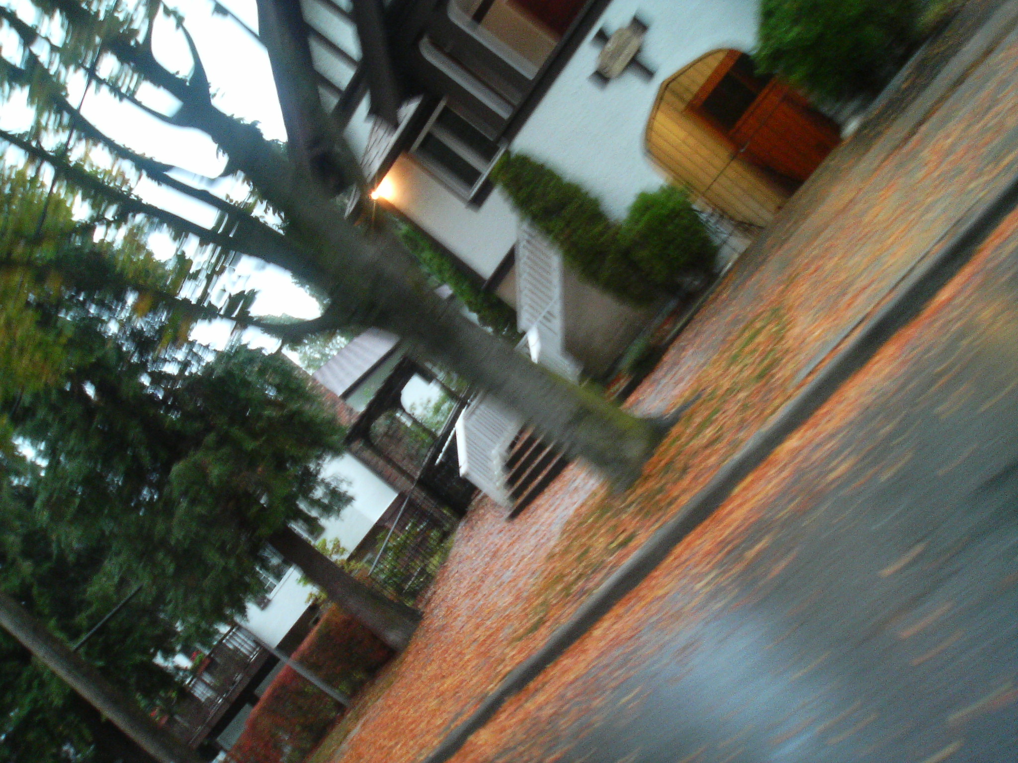 a person walking on the side walk near some trees