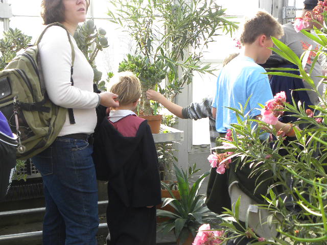 an adult and a group of children in a greenhouse with plants